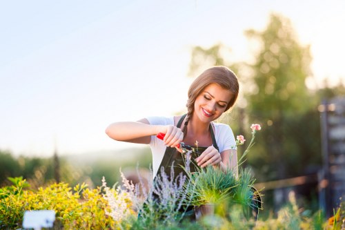 Beautiful garden landscape in Wood Green with diverse plants