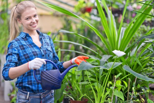 Landscapers Wood Green team committed to ethical and fair work practices