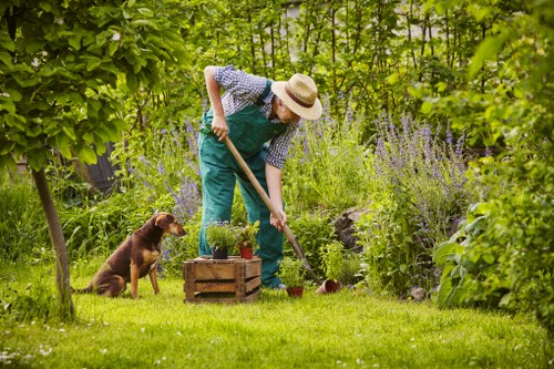 A person wearing a straw hat, blue overalls, and a checkered shirt is tending to a garden in a backyard, using a shovel to work the soil near a small wooden planter box filled with young plants. The garden features lush green grass in the foreground, with various plants and shrubs, including tall purple flowering plants and leafy bushes, creating a vibrant outdoor space. A brown dog is sitting nearby, watching the gardener. In the background, there are trees and dense foliage providing shade and a natural enclosure for the garden, which appears well-maintained and inviting. The scene is set on a bright day with natural sunlight illuminating the garden, highlighting the natural tones of green leaves, blooming flowers, and the gardener's attire. This outdoor space exemplifies typical features that Landscapers Wood Green might include in their comprehensive gardening and landscaping services, focusing on outdoor aesthetic and functional improvements in residential gardens within the Wood Green area.