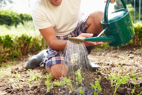 A gardener in casual clothing, wearing a cream t-shirt and checked shorts, is kneeling on the soil of a garden bed in a front outdoor space, watering small green seedlings with a green watering can. The garden features a neatly defined border, with the soil area well-prepared and free of weeds. In the background, a row of shrubs or bushes provides a natural boundary, with some trees visible beyond, under a bright, sunny sky. The soil appears freshly turned, and the seedlings are evenly spaced, indicating recent planting activity. The scene captures a peaceful moment of outdoor maintenance, emphasizing healthy plant growth and sustainable gardening practices in a residential setting, perhaps within the Wood Green area. This image demonstrates basic gardening tasks that Landscapers Wood Green might undertake, including planting and watering, supporting eco-friendly landscaping and lawn care services in the local community.