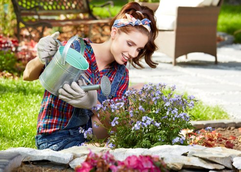 Professionally mowed lawn in Wood Green