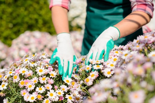 Landscapers team carrying out safe outdoor maintenance work