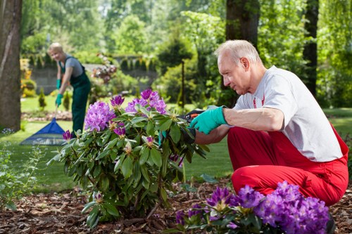 Eco-friendly lawn care practices