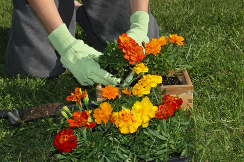 Eco-friendly garden clearance practices in Wood Green