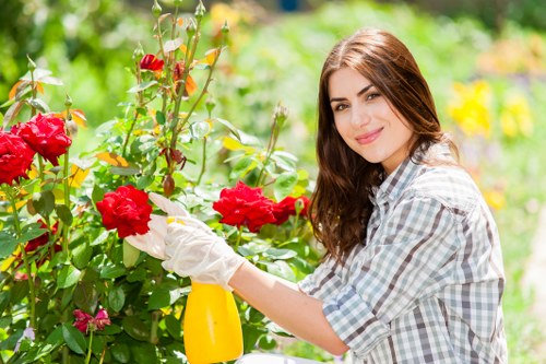 A woman with long brown hair, wearing a checkered shirt and white gardening gloves, is tending to a vibrant flower bed in an outdoor garden. She is carefully trimming bright red roses with pruning shears, surrounded by lush green foliage and other flowering plants. The garden features a combination of neatly maintained grass, flower borders, and a backdrop of trees and shrubs, indicative of a well-kept landscaped yard typical of the Wood Green area. The scene is illuminated by natural sunlight, creating a warm and inviting outdoor environment suitable for gardening and lawn care activities. This image reflects professional gardening services such as pruning, planting, and landscape maintenance offered by companies like Landscapers Wood Green, emphasizing their expertise in creating and maintaining attractive, healthy outdoor spaces in local residential gardens.