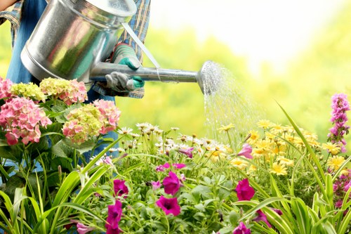 Wood Green Landscapers showcasing their projects