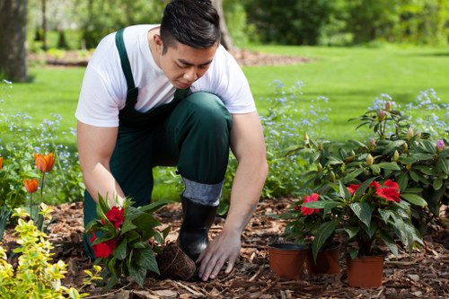 Wood Green Landscaping team at work
