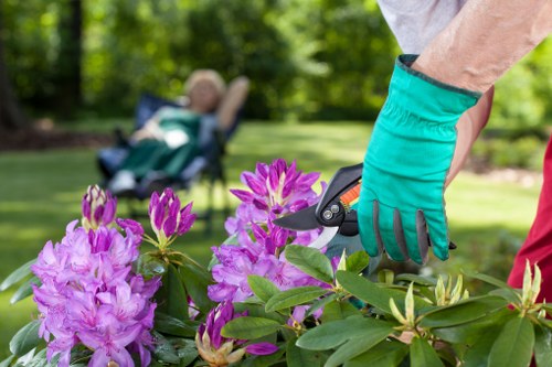 A close-up view of a gardener's hand wearing a teal gardening glove, using pruning shears to trim vibrant purple flowers in a well-maintained garden. In the background, there is a neatly mowed lawn with lush green grass and a blurred view of trees and a garden chair, indicating an outdoor space in Wood Green. The garden features a variety of shrubbery, with a clear division between the flower bed and the lawn area. The scene is illuminated by natural daylight, suggesting mild weather conditions suitable for outdoor gardening activities. This image exemplifies professional gardening and outdoor maintenance services offered by Landscapers Wood Green, focusing on garden upkeep, plant care, and landscape enhancement.