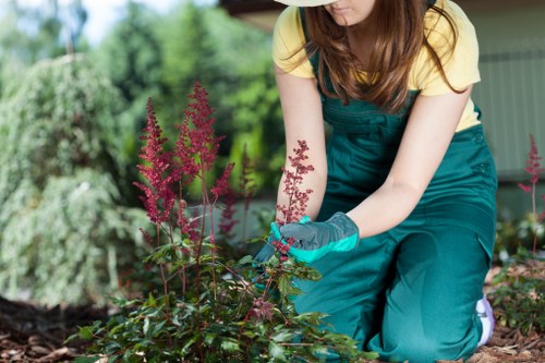 A woman wearing teal gardening overalls, a yellow shirt, and teal gardening gloves is kneeling in a landscaped garden, tending to a flower bed. She is surrounded by a variety of plants and shrubs, with several pink flower spikes standing upright in the foreground. Behind her, there is a lush green hedge and several trees providing a natural backdrop. The garden features a well-maintained lawn area with dense grass and a paved pathway visible near the plant bed. The scene is set outdoors on a cloudy day, with soft natural light highlighting the vibrant colours of the plants. The garden has a neat and organized layout, with different plant types separated by soil borders, and the overall environment appears healthy and well cared for. The image aligns with gardening and landscaping services offered by Landscapers Wood Green, emphasizing garden maintenance, planting, and outdoor landscaping work in the local area of Wood Green, London.