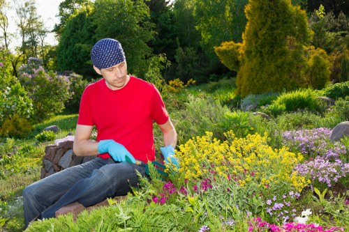 A man wearing a navy blue beanie, red t-shirt, and light blue gardening gloves is kneeling in a well-maintained garden, surrounded by a variety of flowering plants, shrubs, and greenery. The garden features a mix of colorful blooms, including yellow, pink, and purple flowers, with dense, lush green foliage. In the background, tall trees and mature hedges provide a natural boundary, while a paved pathway and a grassy lawn are visible in the foreground, indicating a landscaped outdoor space typical of residential gardens in the Wood Green area. The scene appears to be illuminated by natural daylight, suggesting clear weather, and the overall environment is vibrant and neatly kept, reflecting professional gardening and landscaping standards that Landsccapers Wood Green might provide.