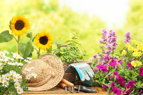 Innovative landscape design by Wood Green Experts
