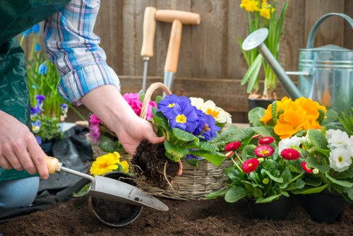 A gardener's hands are planting a vibrant purple flower into dark, freshly turned soil in a garden bed. Surrounding the planting area are colorful flowering plants, including yellow, red, and pink blossoms, arranged in black nursery pots. In the background, there are garden tools such as a watering can, a small spade, and a watering can, along with a wooden fence and a potted daffodil plant with yellow flowers. The scene is set outdoors on a garden bed with a mix of soil and planting space, capturing a moment of planting and garden maintenance. The environment appears well-maintained and thoughtfully landscaped, with natural light highlighting the variety of plant colours and textures, representative of local gardening practices in Wood Green, with attention to seasonal planting and garden care from Landscapers Wood Green's gardening services.
