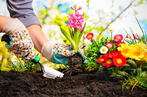 Step-by-step garden clearance process with professional team