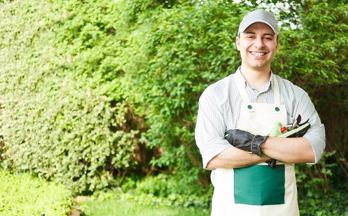 Healthy and well-maintained plants after garden clearance