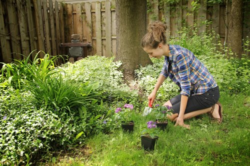 Variety of plants suitable for Wood Green gardens