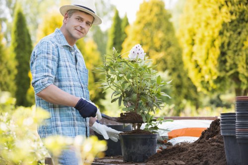 The image depicts a man wearing a light-colored straw hat, a blue plaid shirt, and gardening gloves working in a garden. He is handling a small potted plant, which appears to be a flowering shrub with green leaves and white flowers. The garden features a neat, well-maintained layout with dark soil beds and a row of stacked empty plant pots beside him. In the background, there are lush green trees and a bright, sunny sky indicating a pleasant outdoors environment. The scene suggests outdoor gardening or horticultural activity typical of landscaping services offered by companies like Landscapers Wood Green, located near Wood Green postcodes, focusing on garden planting, soil preparation, or landscaping improvements. The natural lighting highlights the vibrant greenery and the fresh, healthy appearance of the plant, emphasizing quality garden care and plant installation services in the local area. The overall setting portrays a professional yet relaxed gardening scene with a focus on nurturing plants within a landscaped outdoor space. This image would be relevant to gardening and landscaping content aimed at homeowners or clients seeking garden planting or maintenance services in the Wood Green area.