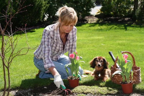 A woman planting pink tulips in a garden bed with freshly turned dark soil, accompanied by a small brown and white puppy sitting nearby. The garden features a well-maintained, lush green lawn with mature trees and bushes in the background, providing shade and natural privacy. The scene is set outdoors on a clear day with bright natural light, highlighting the vibrant colors of the flowers and greenery. Adjacent to the planting area, there are additional pots with tulips, a wicker basket, and gardening tools, indicating an ongoing outdoor landscaping activity supported by local gardening services such as Landscapers Wood Green. The overall setting showcases a typical landscaped garden in a residential area consistent with services offered in the Wood Green or broader London postcode area, emphasizing careful plant placement, lawn care, and outdoor maintenance.