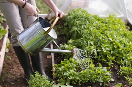 In a well-maintained backyard garden, a person is watering lush green vegetable plants with a metal watering can, held with both hands. The garden features neatly arranged beds with vibrant, healthy leafy greens and herbs growing in rich, dark soil. Surrounding the vegetable patch are other garden elements, including a wooden edge border defining the planting area, and a background of taller plants and shrubs creating a pleasant, layered landscape. The scene is lit with natural daylight, suggesting fair weather conditions, and the environment appears tidy and cared for, reflecting professional gardening standards. This setting exemplifies a typical outdoor space maintained by a local landscaper in Wood Green, suitable for services such as planting, lawn care, and outdoor maintenance as part of comprehensive gardening offerings by Landscapers Wood Green.