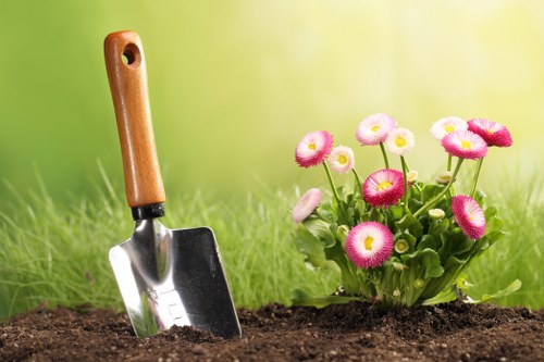 Plans and designs for a Wood Green landscape garden