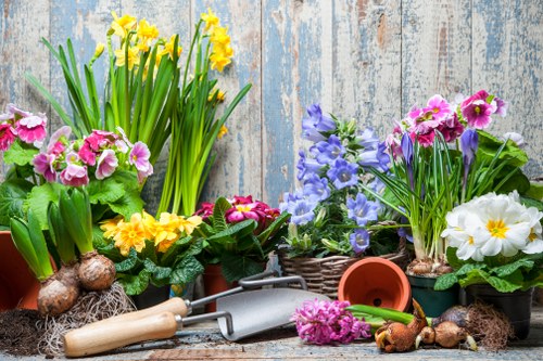 The image showcases a collection of garden flowers in vibrant pink, yellow, purple, and white colors, arranged in pots and baskets, set against a weathered wooden backdrop. The flowers include daffodils with yellow blooms, purple and pink primroses, and other flowering plants, creating a lively and colourful display. Several gardening tools, such as a small hand trowel and a fork with wooden handles, are placed among the plants, along with bulbs and roots ready for planting. The surface beneath the flower pots appears rustic, possibly a wooden table or garden workbench, with some soil and gardening debris visible. The outdoor environment suggests a well-maintained garden or patio area, suitable for planting or garden care activities typical of landscape gardening services in Wood Green. The natural lighting indicates daytime conditions, enhancing the bright colours of the flowers and the textures of the garden tools, supporting a professional gardening and landscaping theme affiliated with Landscapers Wood Green and their gardening services.